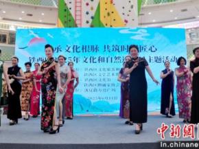 传承文化根脉 共筑时代匠心 沈阳铁西区精彩举行“文化和自然遗产日”主题活动