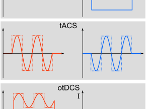tACS是建立振荡与认知的因果联系的最优工具？