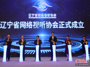 辽宁省网络视听协会成立