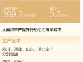 2994.8亿斤，全国夏粮稳产丰收