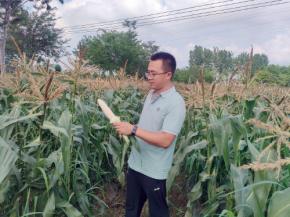 用新品种新技术“武装”菜园子